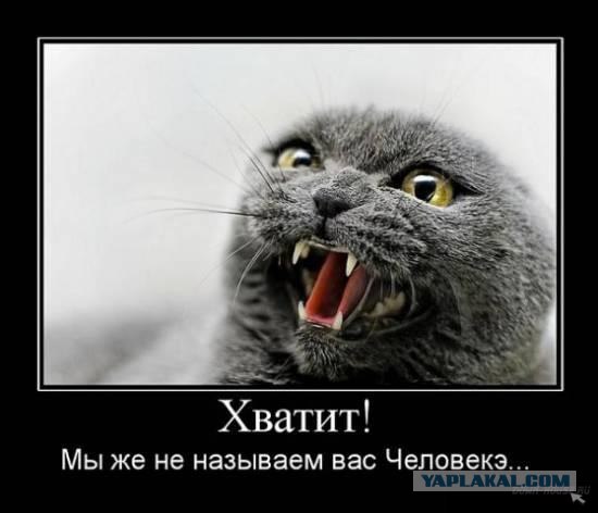 Кто накуренный?