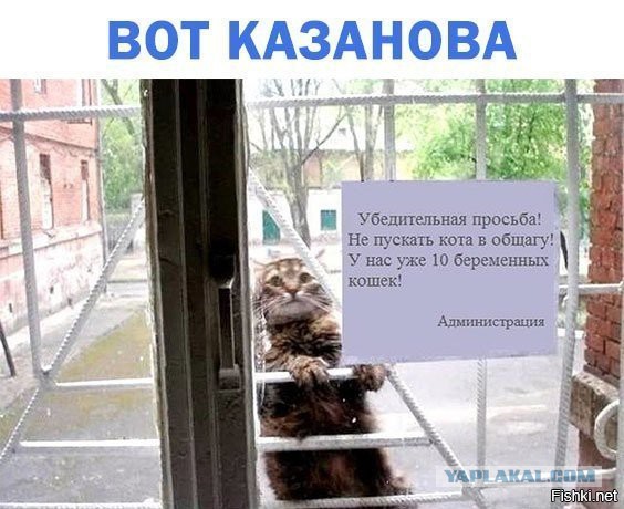 Мамба. Как я повёлся...
