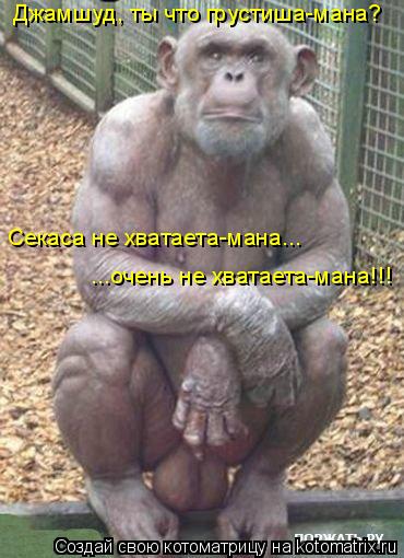 Немного картинок на сегодня