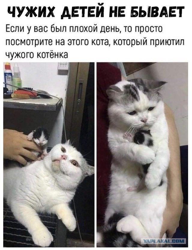 Немного картинок для настроения