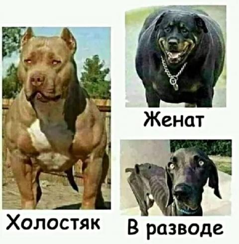 Немного картинок на вечер 21.07.2019