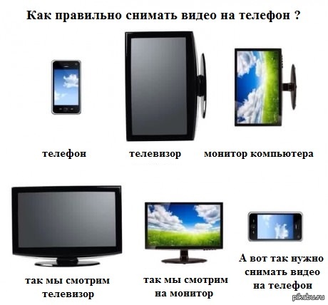 Красивый но все таки опасный бемби