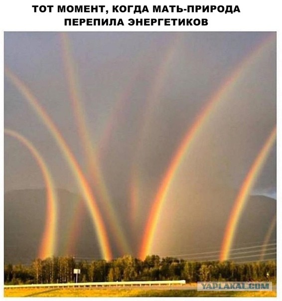 Чуток картинок! 26.12.19