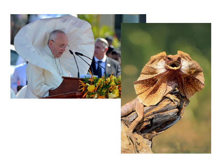 Папа Римский ударил женщину на праздновании в Ватикане