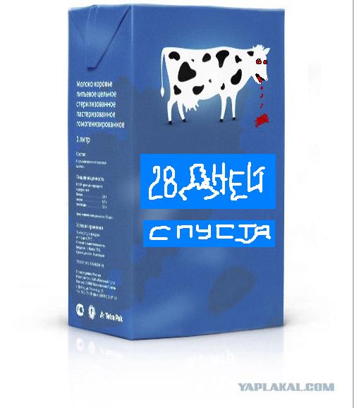 Упаковка молока «Телка дала»