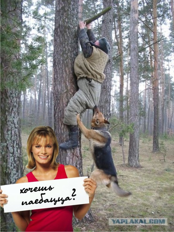 Фотожаба: Охотник и его верный пес