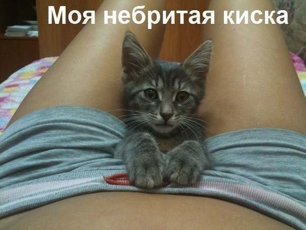 Очень пошлые картинки про это.18+