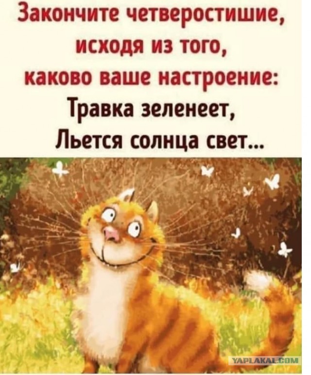 Так себе картинки 29.06.20