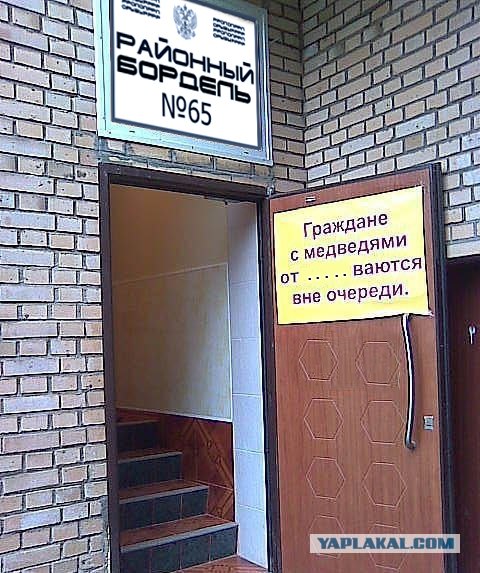 Фотожаба: Хочешь меда - бери с собой медведя
