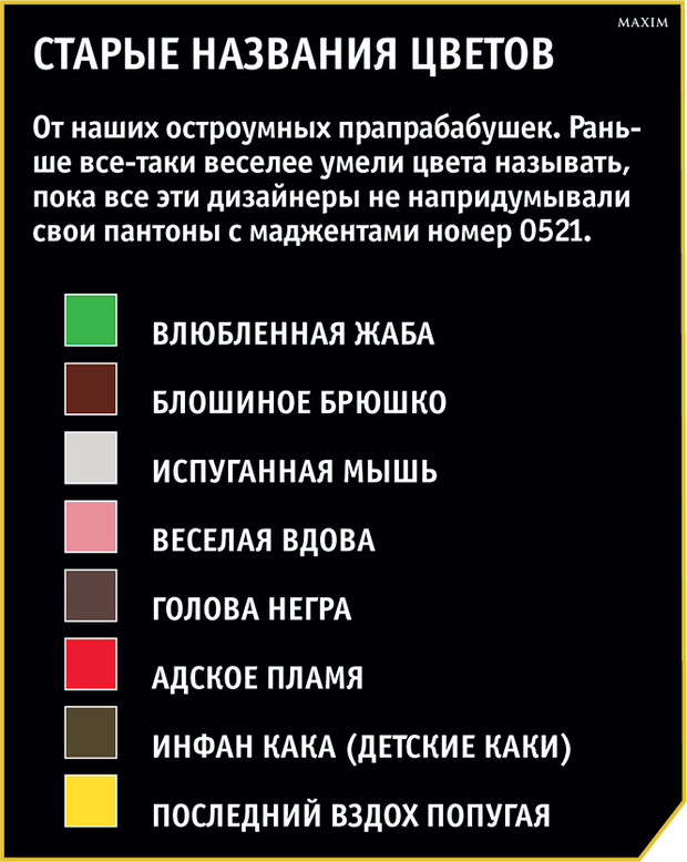 Как выглядит внешний мир на самом деле, если цвета не существует?