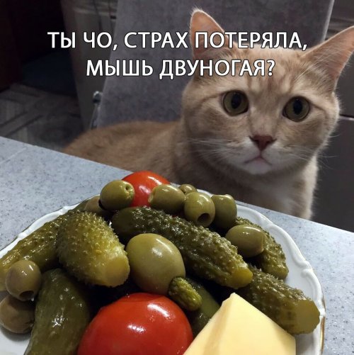Прикольные и просто красивые картинки 24.10.2020