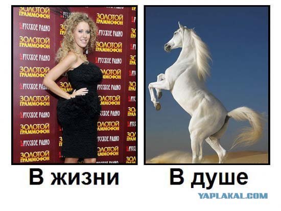 Кто есть кто?