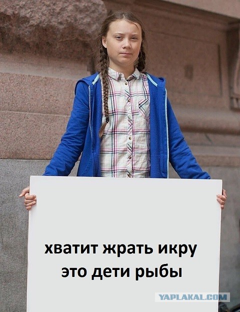 Не понимала, почему Виктор меня мышкой называет, пока не обнаружила целый зоопарк в его телефоне