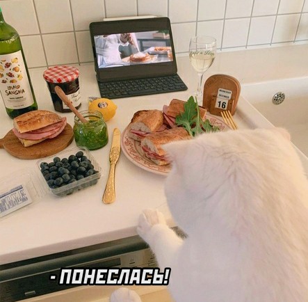 Картинки и мемы для настроения