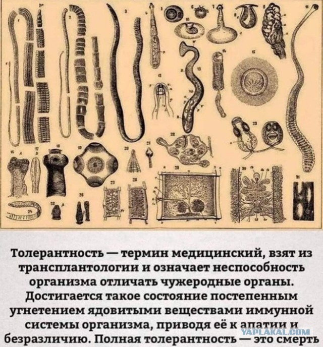 Обвиняемый в массовым убийстве в поселке Кудьма рассказал о том, почему совершил преступление
