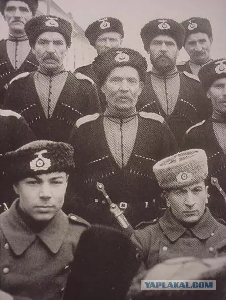 Маразм крепчал или как выучиться на атамана