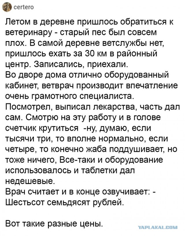 Чуток картинок 23.10.21