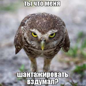 ТруЪ демотиваторы
