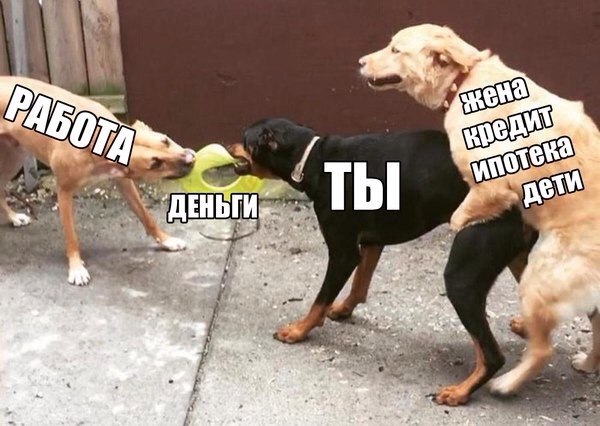 Мрак, пошлятина, политота и баяны, всё как вы любите, дорогие деграданты