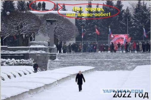 Возложение цветов на Пискаревском кладбище: 2014, 2019, 2020, 2022 годы