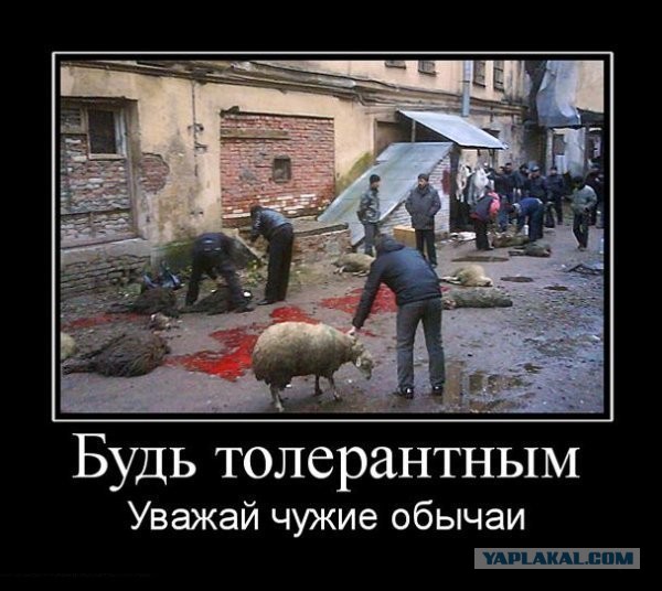 Плов по московски