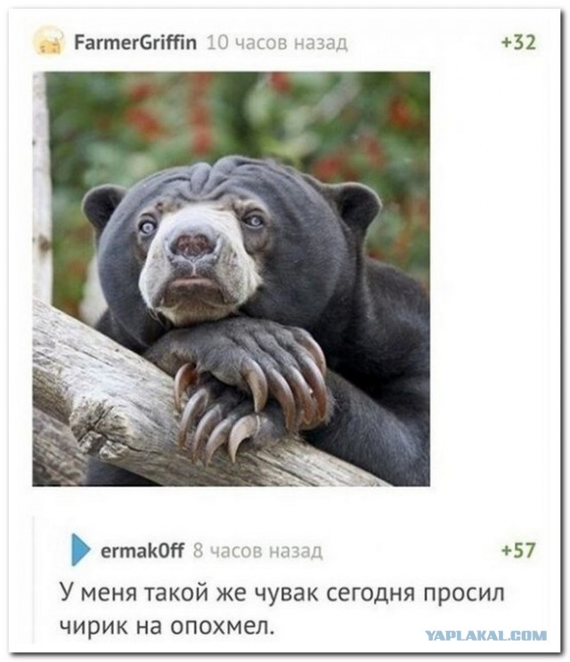 Забавные комментарии из социальных сетей (30.05.22)