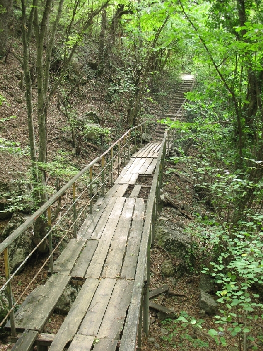 Впервые в Крыму