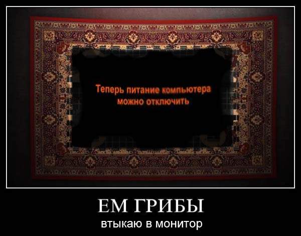Прикольные и просто красивые картинки 11.11.2022