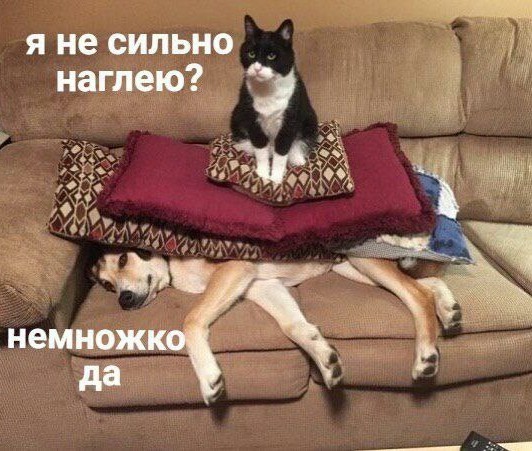 Всего понемногу. От 06.05