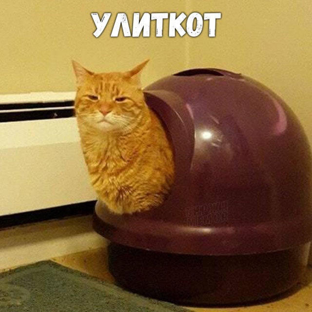 Картинки разные, возможны баяны