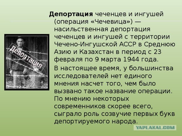 В Чечне сотрудники полиции жестоко пытали и ограбили военнослужащих