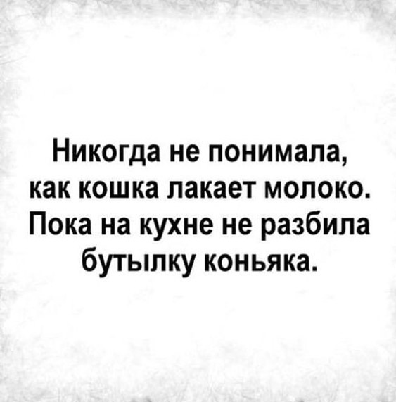 Так себе картинки 02.09.23