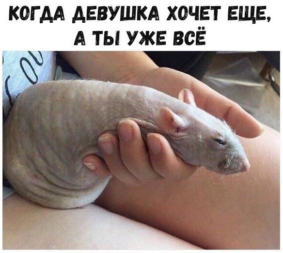 Баяны разной степени давности.