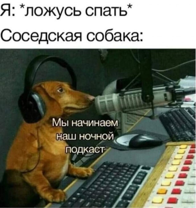 Всего понемногу. От 22.12.23
