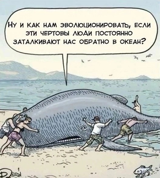 Завалялось тут случайно немного забавных картинок