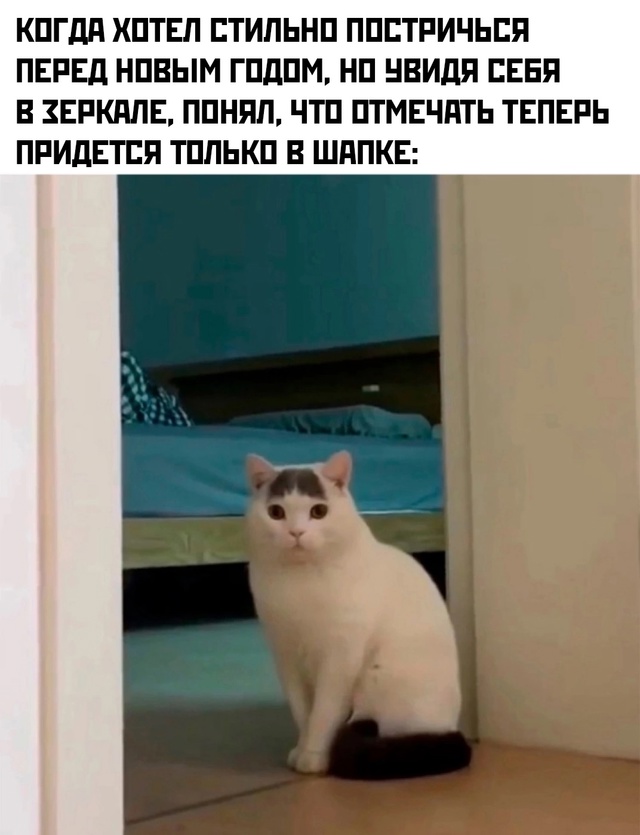 Весёлый полтишок 31.12.24