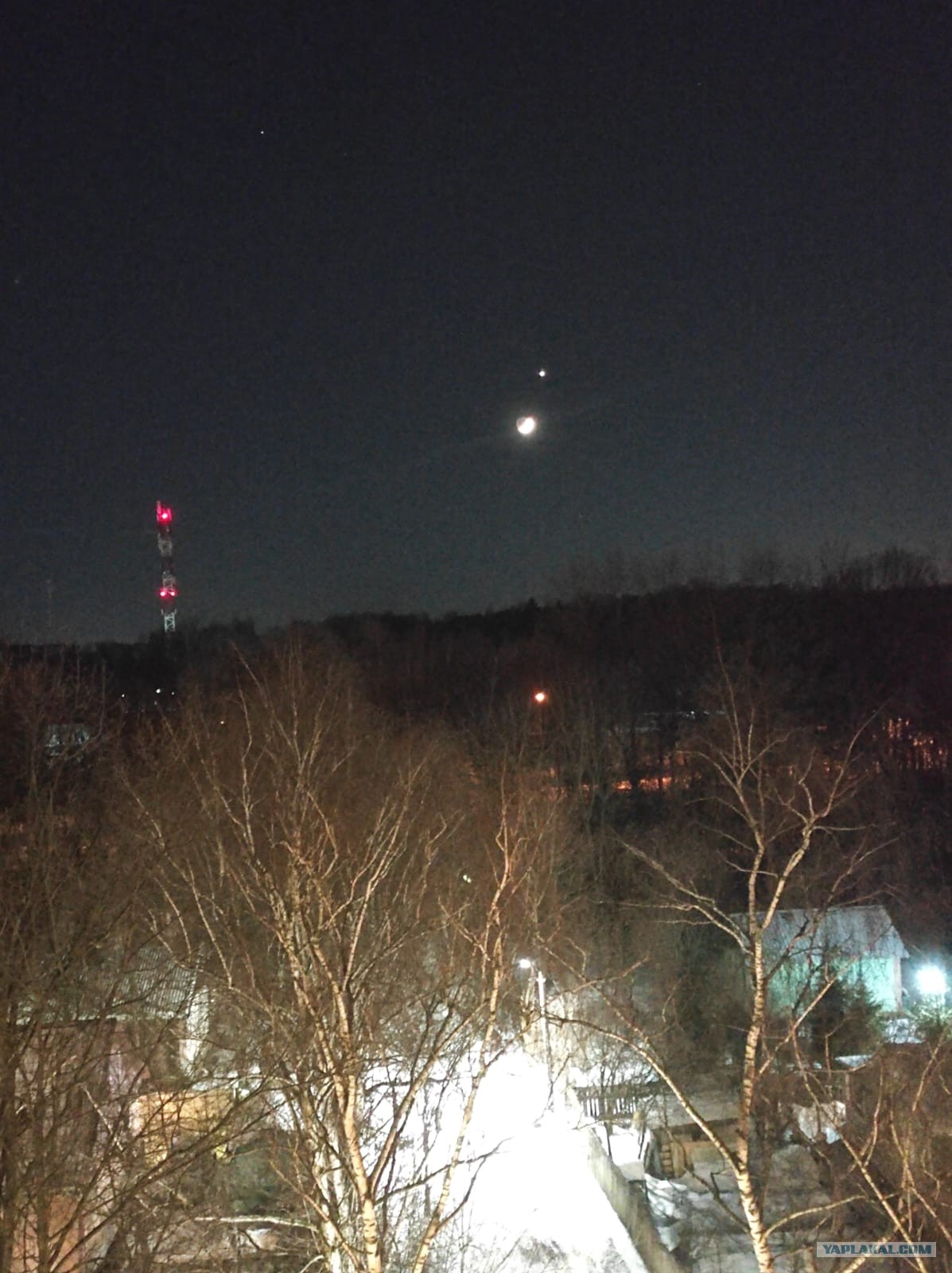 Венера в самом соку