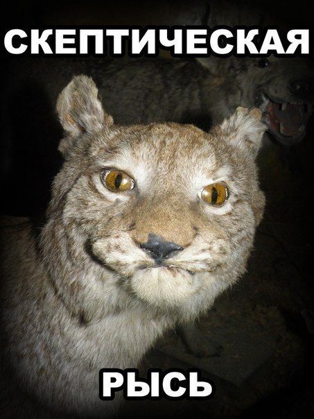 Из воспоминаний