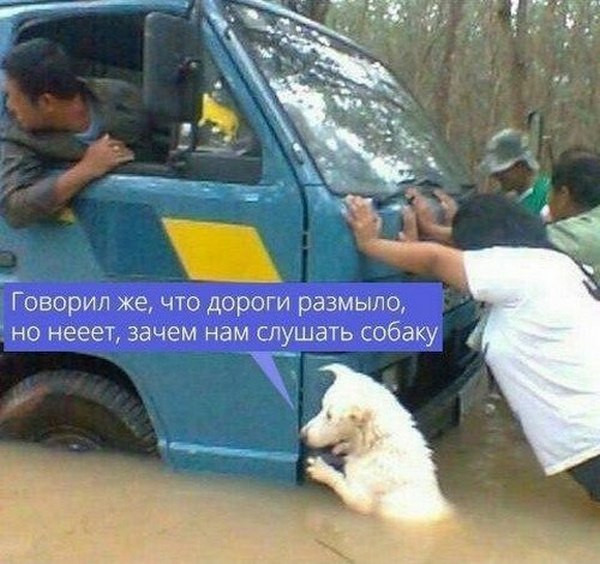 Веселые картинки в пятницу (29.08)
