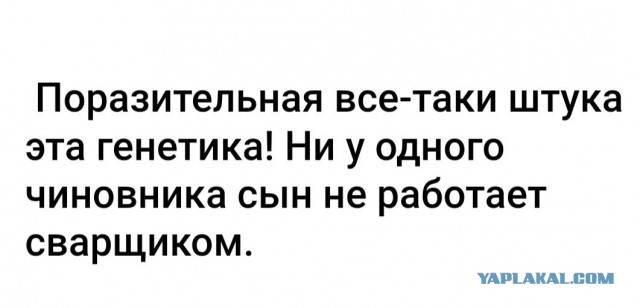 Он осознал как всё устроено