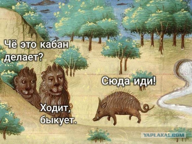 Когда игноришь скрытый патруль ГАИ