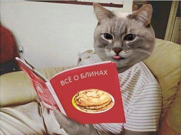 Помните потрясающий мем с изображением кота рядом со стопкой румяных блинов?