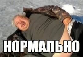 Тигр перекрыл движение на трассе в Хабаровском крае