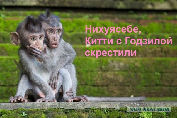 Внезапный пассажир в метро