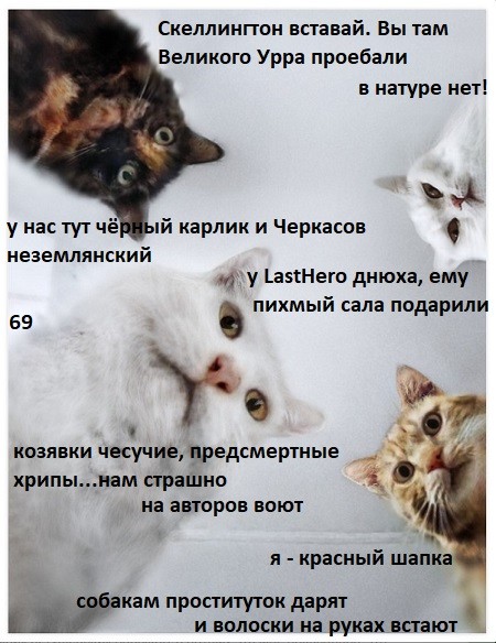 ЯП против ЛитБесов