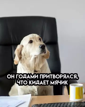Картиночки, баянчики 16 апреля