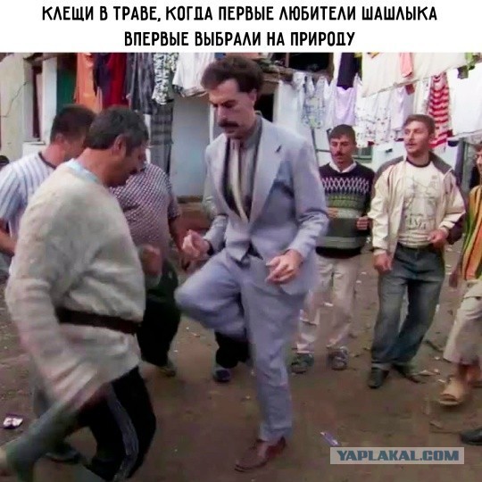 Картинки для деградации 185 (разной степени свежести)