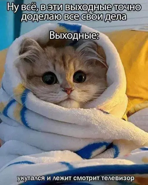 Субботние картинки