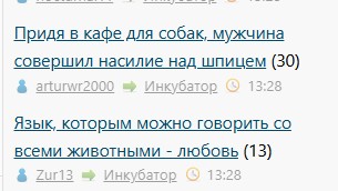 Придя в кафе для собак, мужчина совершил насилие над шпицем