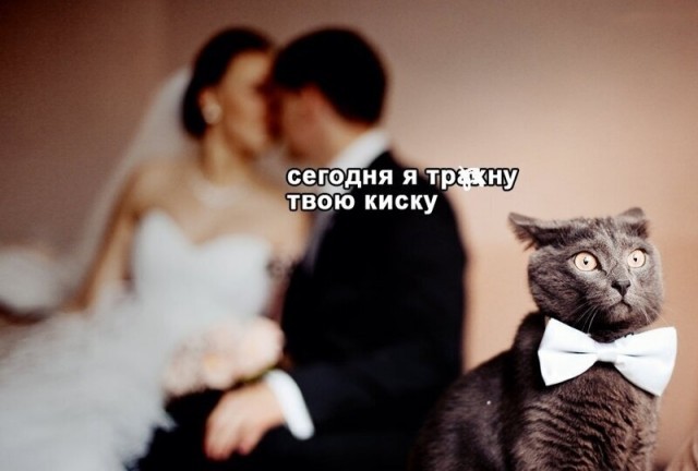 Картинки на среду